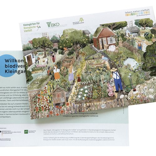 Aus dem BKD: Erklärfilme und Wimmelbild sind da! Neues Bildungsmaterial für biologische Vielfalt im Kleingarten